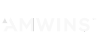 White "AMWINS" logo in bold, uppercase letters on a black background, with a stylized triangle forming part of the letter "A.
