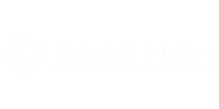 Raleigh Metro logo with circular graphic and text reading “Raleigh Metro | 2023 Community Impact Report.”.
